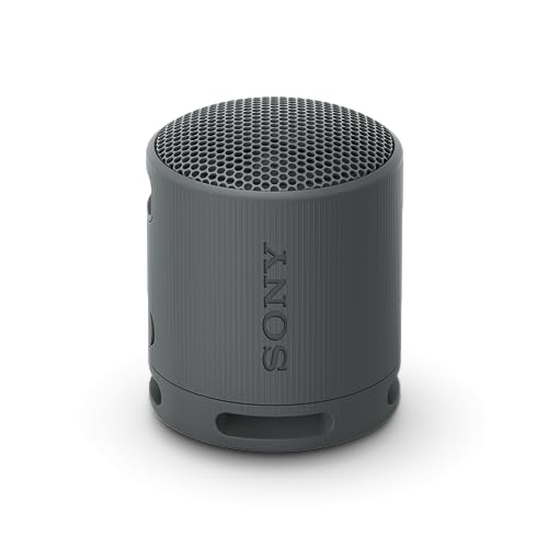 Sony SRS-XB100 - Enceinte sans Fil Bluetooth, Portable, légère, compacte, Durable, IP67, étanche à l'eau et à la poussière, Batterie 16H, dragonne Polyvalente, appels Mains Libres, Noir