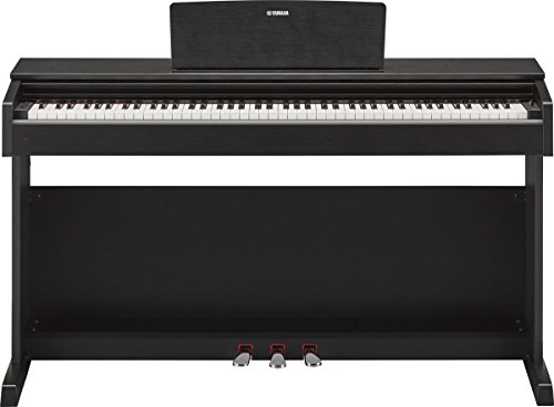 Yamaha - NYDP143 - Piano Numérique - Noir