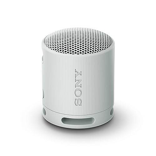 Sony SRS-XB100 - Enceinte sans Fil Bluetooth, Portable, légère, compacte, Durable, IP67, étanche à l'eau et à la poussière, Batterie 16H, dragonne Polyvalente, appels Mains Libres, Gris Perle